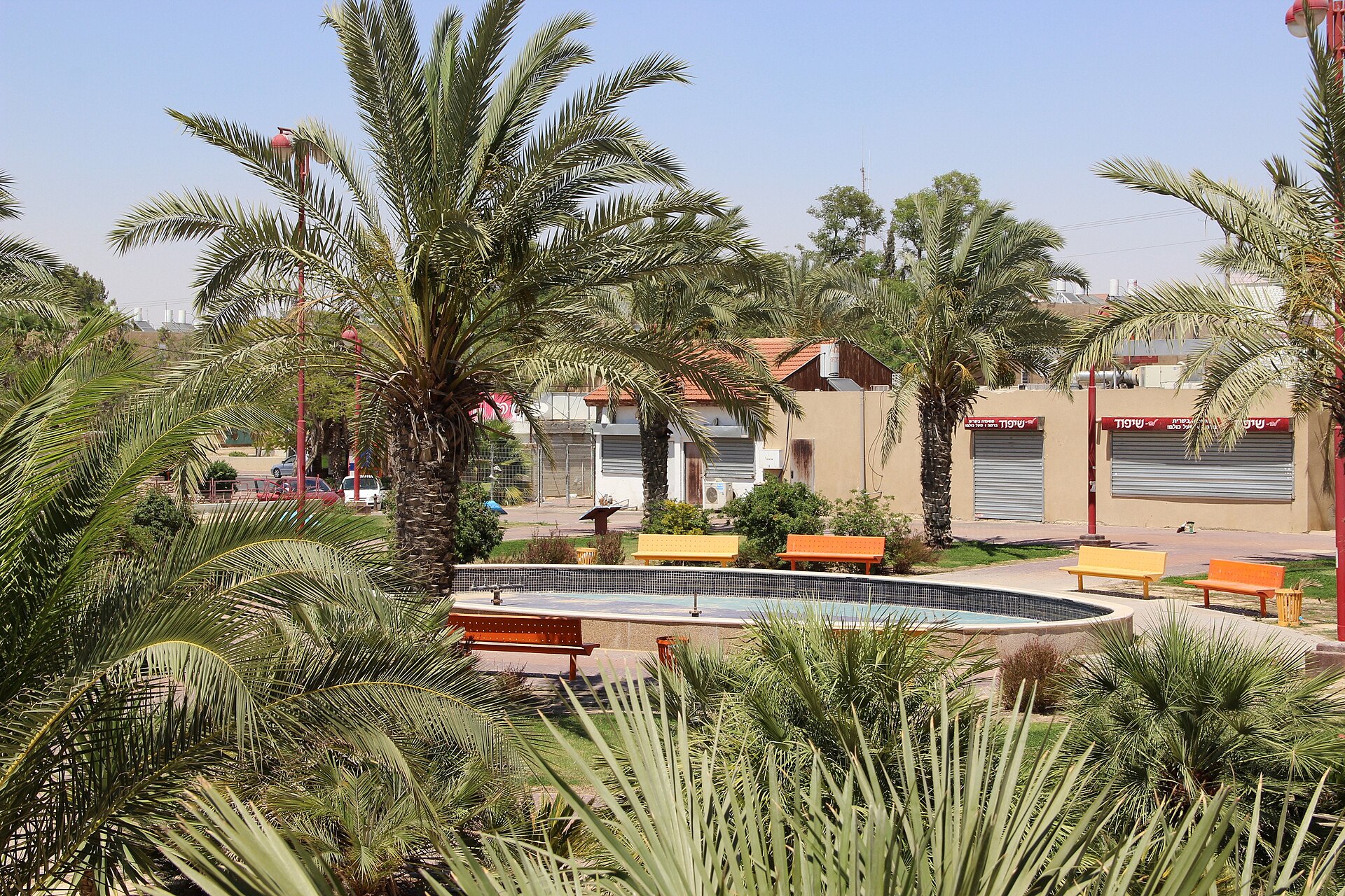 אול אין דימונה – שם הכל התחיל